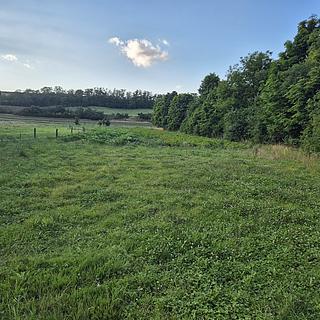 Prodej stavební parcely 1000 m&sup2; Blevice