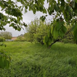 Prodej komerčního pozemku 2 398 m² Praha