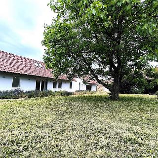 Prodej ostatního komerčního prostoru 310 m² Běrunice, 