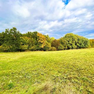 Prodej stavební parcely 2777 m² Bratřínov