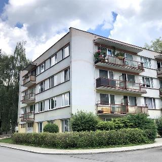 Prodej bytu 3+1 69 m² Písek, 