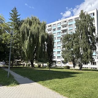 Prodej bytu 4+1 79 m² Písek