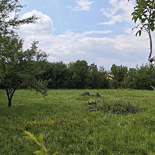 Prodej stavební parcely 1000 m&sup2; Dymokury