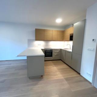 Pronájem bytu 3+kk 91 m² Černošice