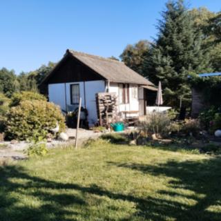 Prodej zahrady 544 m² Blovice