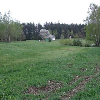 Prodej podílu zemědělské půdy 4039 m² Přední Výtoň