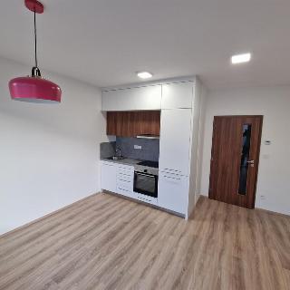 Pronájem bytu 1+kk a garsoniéry 26 m² Praha, 