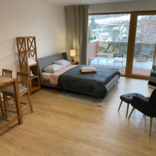 Prodej bytu 1+kk, garsoniery 46 m² Slaný