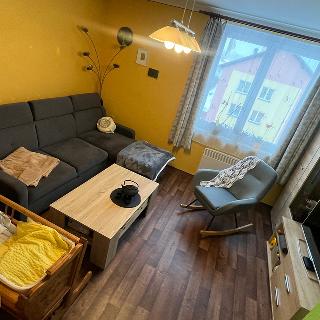 Prodej bytu 3+1 69 m² Černovice, 