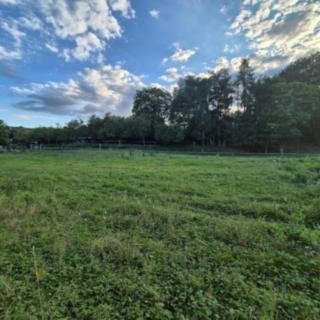 Prodej stavební parcely 1000 m&sup2; Blevice