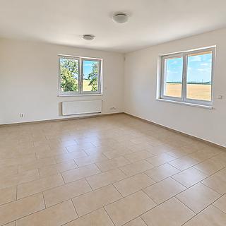 Pronájem bytu 3+1 105 m&sup2; Zbuzany
