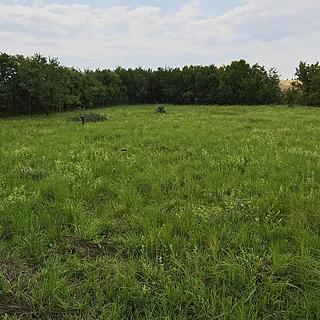 Prodej stavební parcely 1000 m&sup2; Dymokury