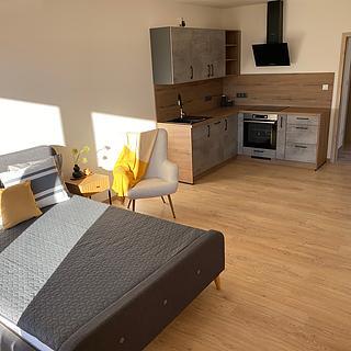 Prodej bytu 1+kk, garsoniery 33 m&sup2; Slaný