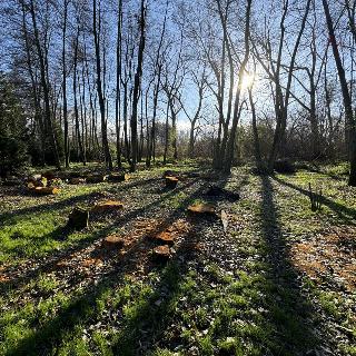 Prodej stavební parcely 2000 m² Říčany