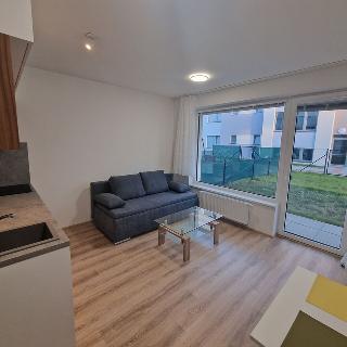 Pronájem bytu 1+kk a garsoniéry 26 m² Praha, 