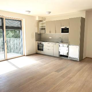 Pronájem bytu 2+kk 56 m² Černošice, 