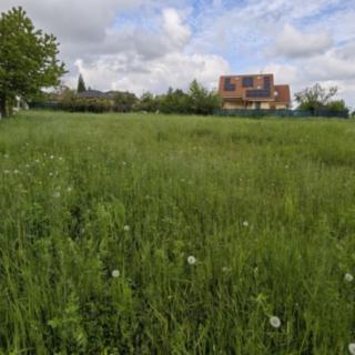 Prodej stavební parcely 799 m² Vitice