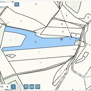 Prodej louky 7 753 m² Kamýk nad Vltavou