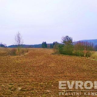 Prodej zahrady 7 753 m² Kamýk nad Vltavou