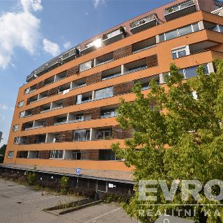 Pronájem bytu 2+kk 63 m² Praha, Skloněná