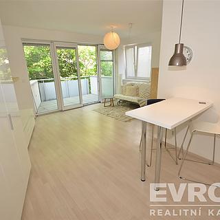 Pronájem bytu 1+kk, garsoniery 47 m&sup2; Praha