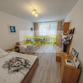 Prodej bytu 1+kk a garsoniéry 31 m² Zlín, Družstevní