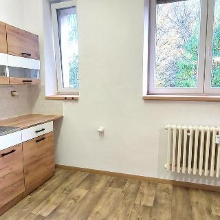 Pronájem bytu 1+kk a garsoniéry 26 m² Valašské Meziříčí, Žerotínova