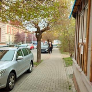 Pronájem ostatního komerčního prostoru 60 m² Valašské Meziříčí, Husova