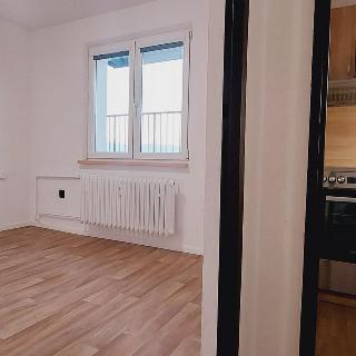 Pronájem bytu 1+kk a garsoniéry 24 m² Valašské Meziříčí, Růžová