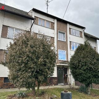 Prodej bytu 3+1 75 m² Mezholezy, 