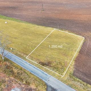 Prodej stavební parcely 1 250 m² Bělá nad Radbuzou