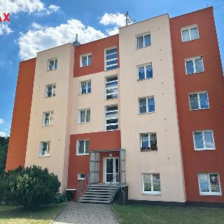 Pronájem bytu 2+1 58 m² Konstantinovy Lázně, Zahradní