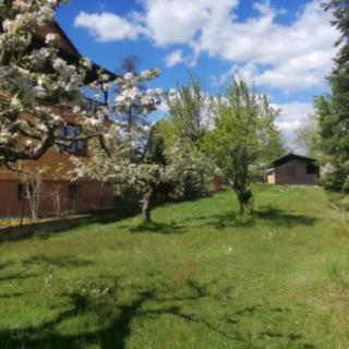 Prodej stavební parcely 784 m² Třeboň II, Lesní