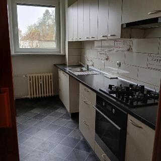 Pronájem bytu 3+1 76 m² Klatovy, U Pazderny