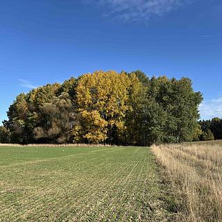 Prodej vodní plochy 6467 m² Švihov