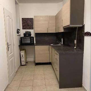 Prodej bytu 1+kk a garsoniéry 30 m² Praha, Na Folimance