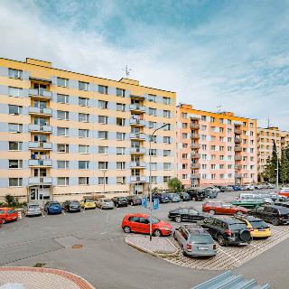 Prodej bytu 2+1 65 m² Rychnov nad Kněžnou