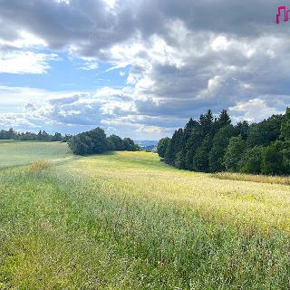 Prodej zemědělské půdy 26825 m² Benecko