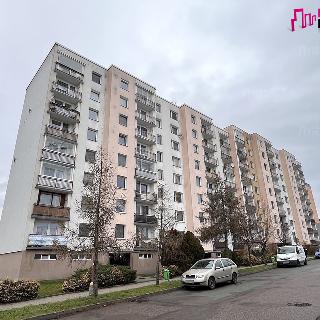 Pronájem bytu 1+1 37 m² Rychnov nad Kněžnou, Mírová