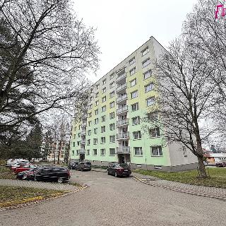 Prodej bytu 3+1 61 m² Vamberk, Struha