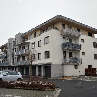 Pronájem bytu 2+kk 42 m² Hradec Králové, Antonína Petrofa