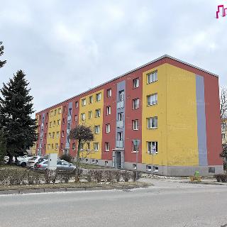 Prodej bytu 3+1 61 m² Rychnov nad Kněžnou, Sokolovská