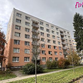 Pronájem bytu 1+1 35 m² Rychnov nad Kněžnou, Na Trávníku