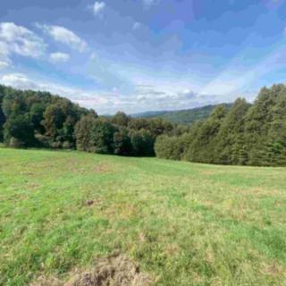 Prodej ostatních pozemků 10593 m&sup2; Sobotín