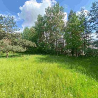 Prodej ostatního pozemku 2 300 m² Býkov-Láryšov Býkov