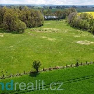 Prodej ostatního pozemku 75 000 m² Hatín