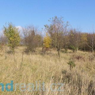 Prodej zahrady 1 777 m² Otrokovice