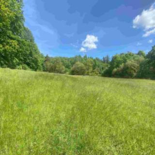 Prodej zemědělské půdy 872 m² Odry