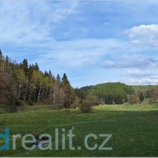 Prodej ostatního pozemku 58 322 m² Moldava