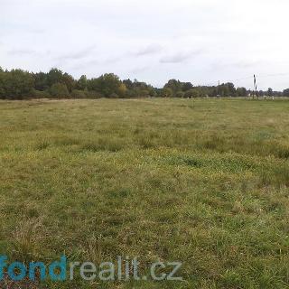 Prodej zemědělské půdy 30 010 m² Nová Ves nad Lužnicí